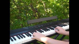 Alesis Recital 88 key keyboard review [upl. by Hayyim774]