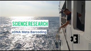 Extreme E St Helena Ship Laboratory  eDNA Metabarcoding [upl. by Caro]