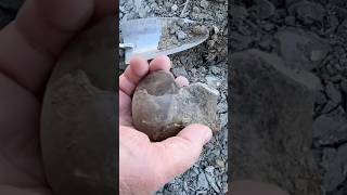 FOSSIL HUNTER Discovers DINOSAUR AGE MOSASAUR Vertebrae Bone fossilhunting TEXAS River [upl. by Spaulding]