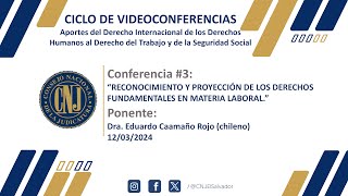 Ciclo Videoconferencias “Aportes del Derecho Inter de DDHH al Derecho del Trab y Seguridad Socialquot [upl. by Joash428]