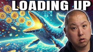 Massive Whale Accumulation Signals Bitcoins Next Big Move [upl. by Obel225]