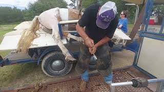 JUSTMAN PROFESSIONAL FARRIER SERVICE CHUTE WORK [upl. by Dione]