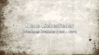 Brahms Neue Liebeslieder op 65 [upl. by Sivram]