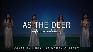 As The Deer  ရေစီးသော သက်စမ်းရေ Cover by Jindallae [upl. by Lemej]