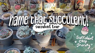 Vlog 132  102124 Succulent Tour amp Update [upl. by Aivatco]