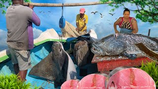 Unique Fancy and Delicious Fish Cutting by a Fishing Family on a Paradise Island [upl. by Lamak205]