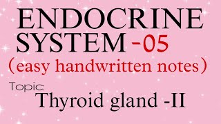 Endocrine system part5  thyroid gland  Physiology  Easy handwritten notes [upl. by Asilaj]