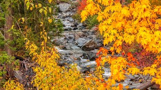 Hiking The Ingalls Creek Trail [upl. by Akenahc]