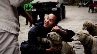 Mushers Camp and Sled Dog Adventure  Skagway Alaska [upl. by Becka]