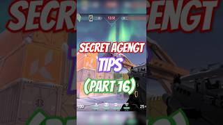 Secret Agent Tips Part 16 [upl. by Ahsinauq344]