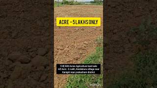 600 Acres Agriculture land sale  AP Acre  5 Lakh Kandukuru village  nearKanigiri near [upl. by Cindie]