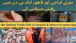 We Deliver Fresh Fish in karachi and lahore in same day from Karachi Fishery  Karachi Fish Harbour [upl. by Kred215]