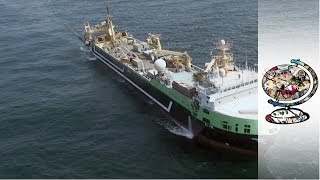 How Australia Impounded the Worlds SecondLargest Fishing Trawler [upl. by Jaquenetta]