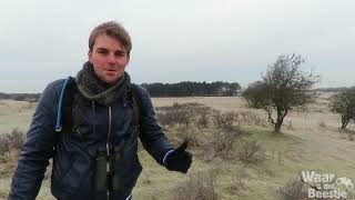 Vlog Spotten in de Amsterdamse Waterleidingduinen [upl. by Adan153]