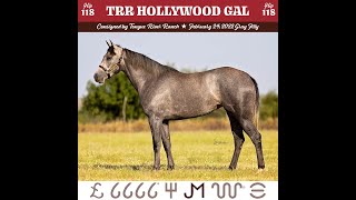 2024 Return to the Remuda Sale Hip 118 TRR Hollywood Gal [upl. by Kcerb471]