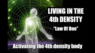 Is Reconnective Healing activating our 4th Density Body  Law of One  Quo ChannelingBrian Scott [upl. by Bevis950]