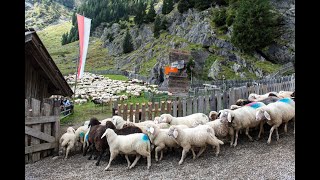 Events amp Veranstaltungen in Partschins Südtirol [upl. by Analrahc81]