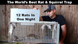 The Worlds Best Rat amp Squirrel Trap The Uhlik Repeater part 2  Mousetrap Monday [upl. by Kieger565]