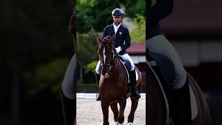 Final del Ciclo de Caballos Jóvenes 2024 con 120 ejemplares compitiendo en Dos Lunas Polo Dressage ✨ [upl. by Audres]