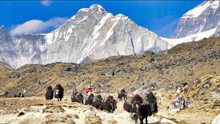 Land of the SHERPAS Walking under Mount Everest 4K Mount Everest Base Camp Trek  Full Documentary [upl. by Psyche]