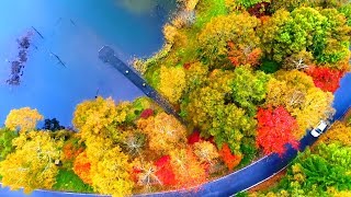 4K映像 絶景ドローン空撮「秋 紅葉の女神湖 白樺高原」日本の美しい四季 長野県立科町 10月下旬 空中散歩 八ヶ岳山麓 自然風景 [upl. by Winther]