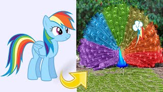 Rainbow Dash as Peacock MLP [upl. by Page168]