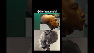 Akhenaten 4biddenknowledge anunnaki christianity islam religion [upl. by Elohc]