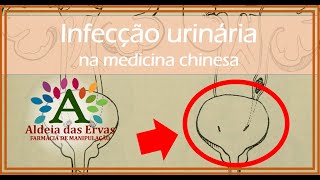 Infecção de urina na Medicina chinesa [upl. by Dyal]