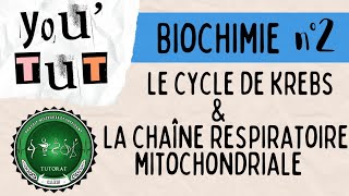 📚YOUTUT📚BIOCHIMIE Le cycle de krebs et la chaîne respiratoire mitochondriale [upl. by Feldstein847]