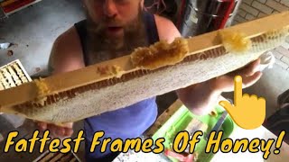 Honey Harvest December 2017 Queen Excluder Free [upl. by Oedama]