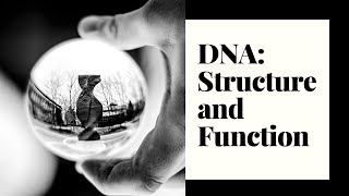 Intro to DNA  Denaturation and tm  Melting temperature  Conformations of double stranded DNA [upl. by Kola]