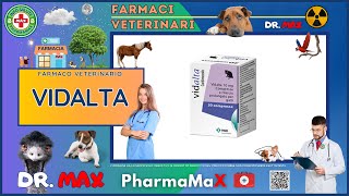 🐶 VIDALTA Farmaco Veterinario a cosa serve   Foglietto Illustrativo Salute [upl. by Clintock]