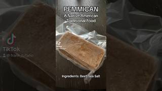 Pemmican A Native American Traditional Food [upl. by Acinnor]