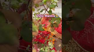 Tulsi Mantra [upl. by Nodrog]