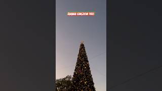 DISNEY’S ANIMAL KINGDOM CHRISTMAS TREE 🎄 disneyworld [upl. by Pedersen]