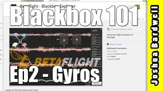 BLACKBOX 101  Ep2  Interpreting Gyros [upl. by Acirderf381]