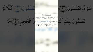 alhakumut takasur surah [upl. by Fidela]