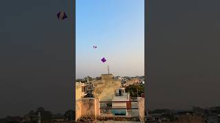 Kite looting from rooftop🪁Big kite catchingCutting kite caught on roof Flying big kite shorts [upl. by Mahla]