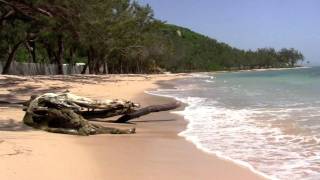 Bath Beach  Barbados [upl. by Hailat]