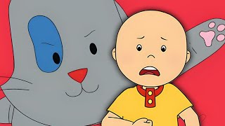 Caillou Gets Shrunk  Caillous New Adventures [upl. by Noir586]