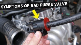 SYMPTOMS OF BAD PURGE VALVE HOW TO KNOW PURGE VALVE IS BAD [upl. by Sualokin114]