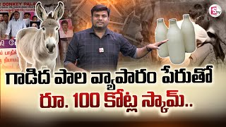 Donkey Palace Companys Massive Scam in Name Of Donkey Milk  గాడిద పాల పేరుతో ఘరానా మోసం [upl. by Mussman]