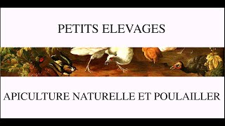 petits élévages  apiculture naturelle et poulailler [upl. by Aridan]