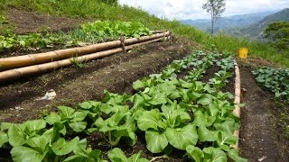 Características de la Agroecologia una Agricultura Más Sana  TvAgro por Juan Gonzalo Angel [upl. by Herta420]