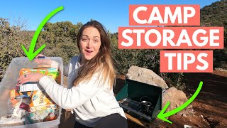 Car Camping ORGANIZATION CAMPING GEAR TIPS AND HACKS [upl. by Gehman]