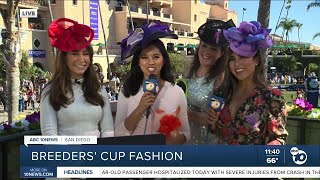 The style of the Breeders Cup [upl. by Budde]