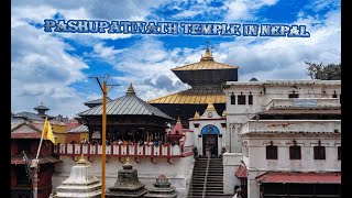 pashupatinath temple nepal l kathmandu  Pashupatinath Mandir Nepal [upl. by Abigail700]