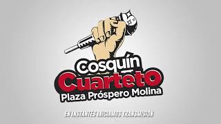 Cosquín Cuarteto 2022  Transmisión en vivo de Zanella dia 2 [upl. by Rennoc]