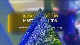 Horses to Follow Ep 5 [upl. by Lodi]