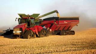 John Deere S690s combining barley in Saskatchewan [upl. by Aisatsana]